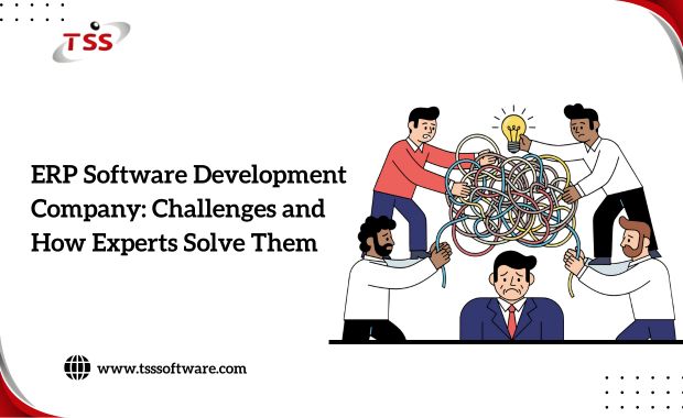 ERP Software Development Company: Challenges and How Experts Solve Them